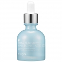 Hialuronas veido odai Mizon Hyaluronic Acid 100, 30 ml