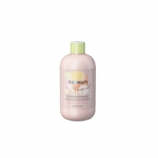 Plaukus gaivinantis šampūnas Inebrya Ice Cream Frequent Refreshing Mint Shampoo