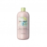 Plaukus gaivinantis šampūnas Inebrya Ice Cream Frequent Refreshing Mint Shampoo