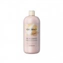 Šampūnas Inebrya Ice Cream Argan Age Shampoo