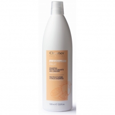 Plaukų šampūnas Oyster Sublime Fruit Citrus Shampoo Restructuring