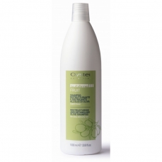 Plaukų šampūnas Oyster Sublime Fruit Oliva Shampoo